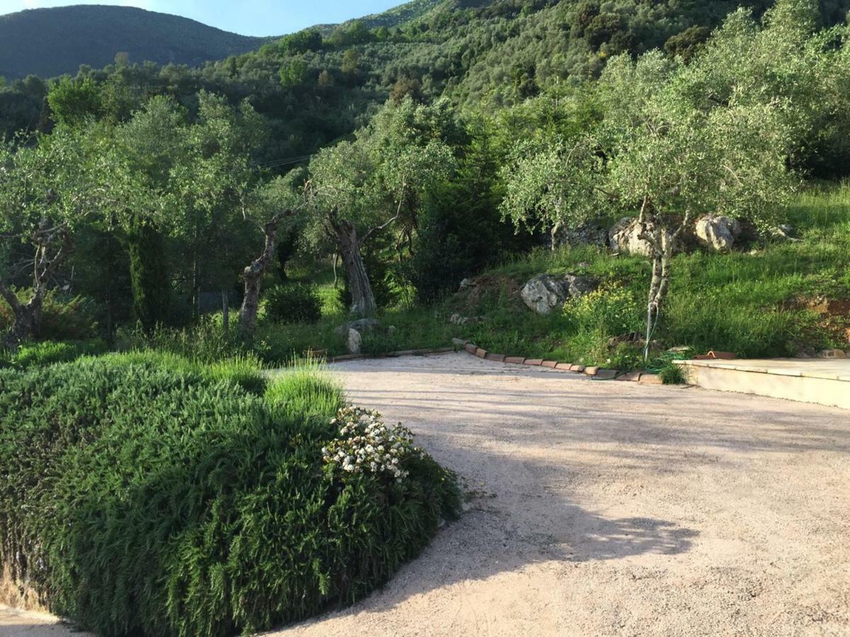 Valuable Rustic Tuscan Swimming Pool, Breathtaking View Of Camaiore Buitenkant foto